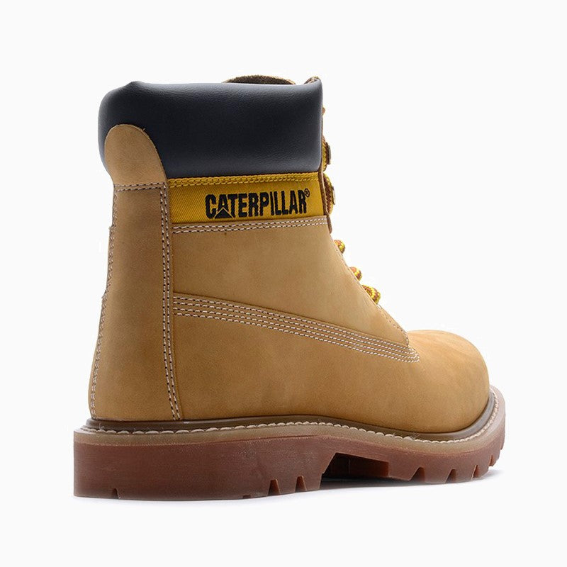 BORCEGOS COLORADO 2.0