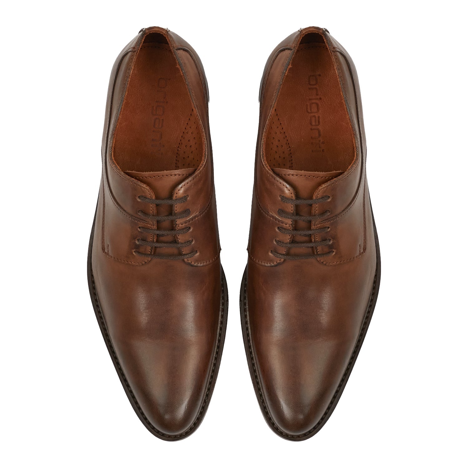 ZAPATO RYAN MARRON
